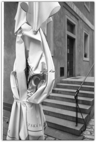 FOMA FOMAPAN 200 135-36 白黒ネガ