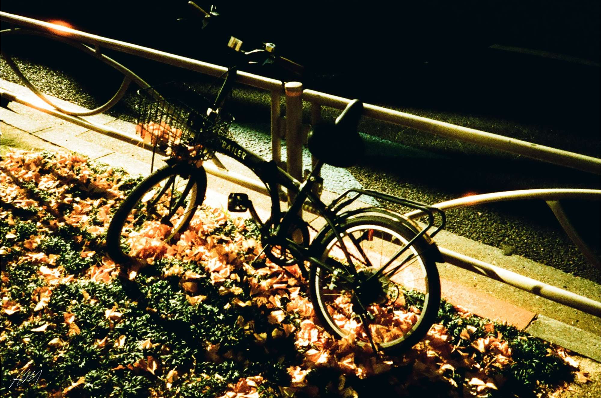 【HARMAN】PHOENIX 200 135-36 | 東京CAMERA