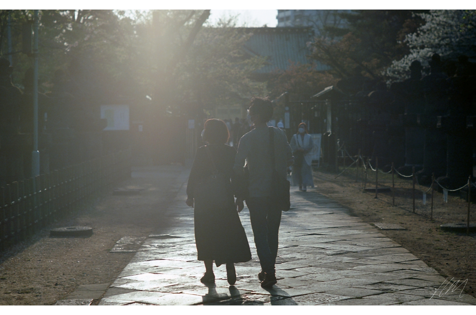 【Kodak】EKTAR 100 36exp | 東京CAMERA