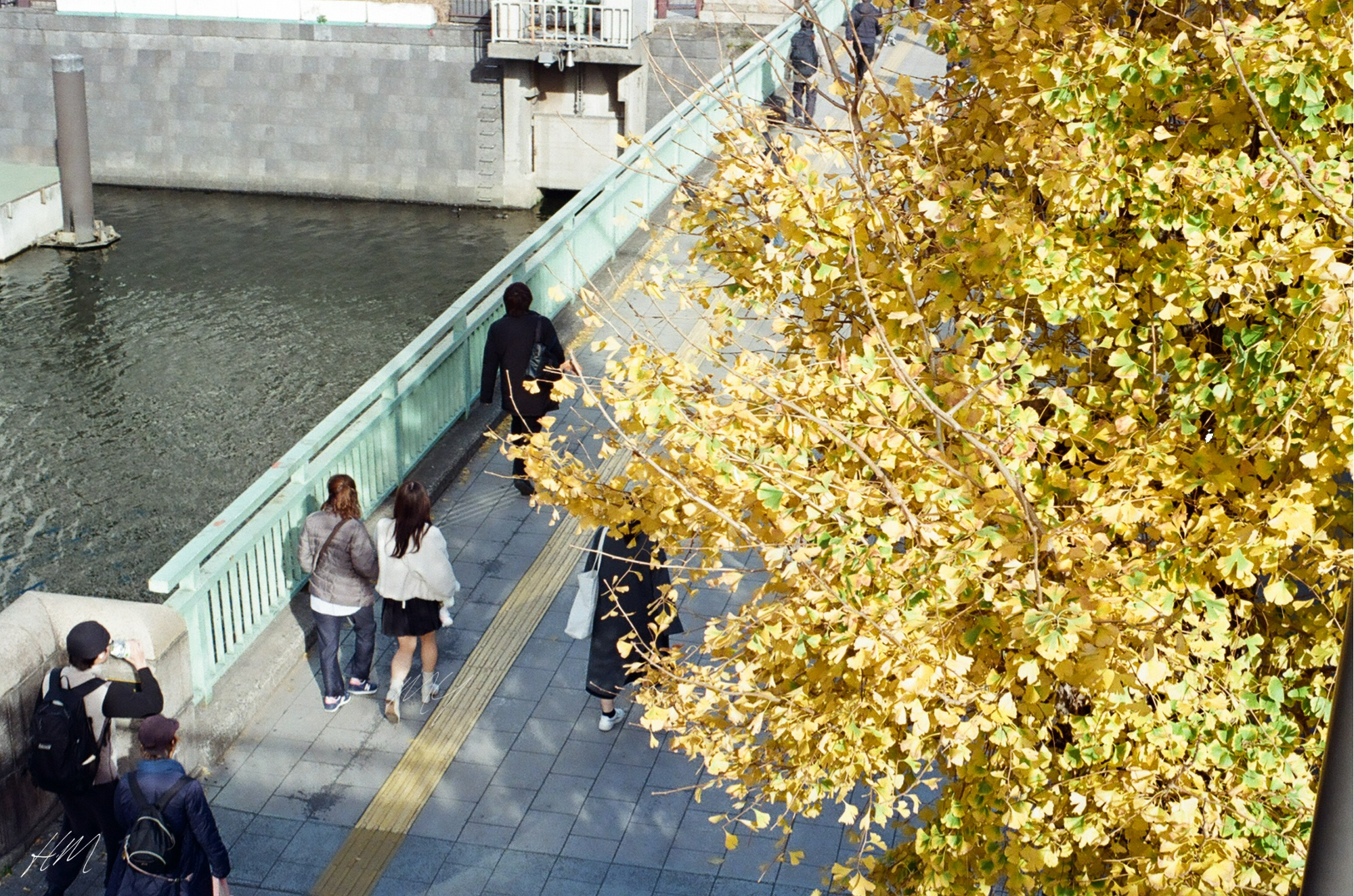 【Kodak】ULTRAMAX 400 36exp | 東京CAMERA