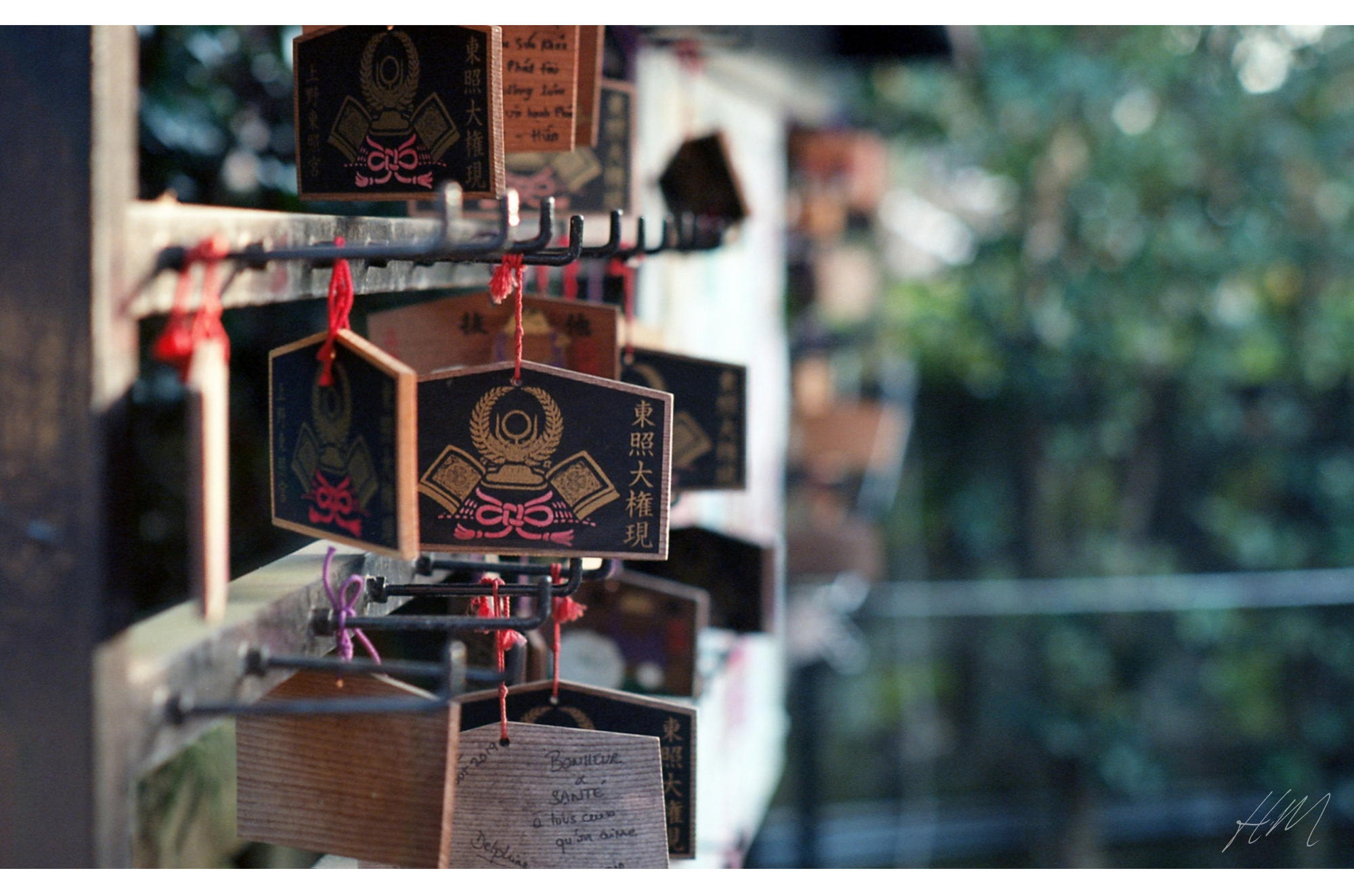 【Kodak】EKTAR 100 36exp | 東京CAMERA