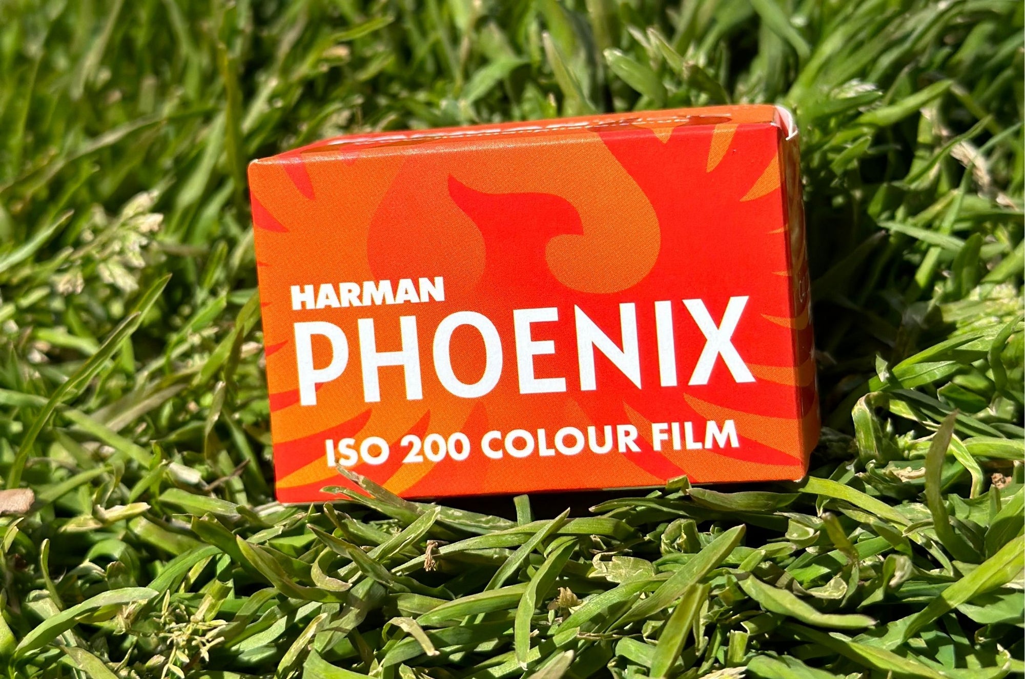 【HARMAN】PHOENIX 200 135-36 | 東京CAMERA