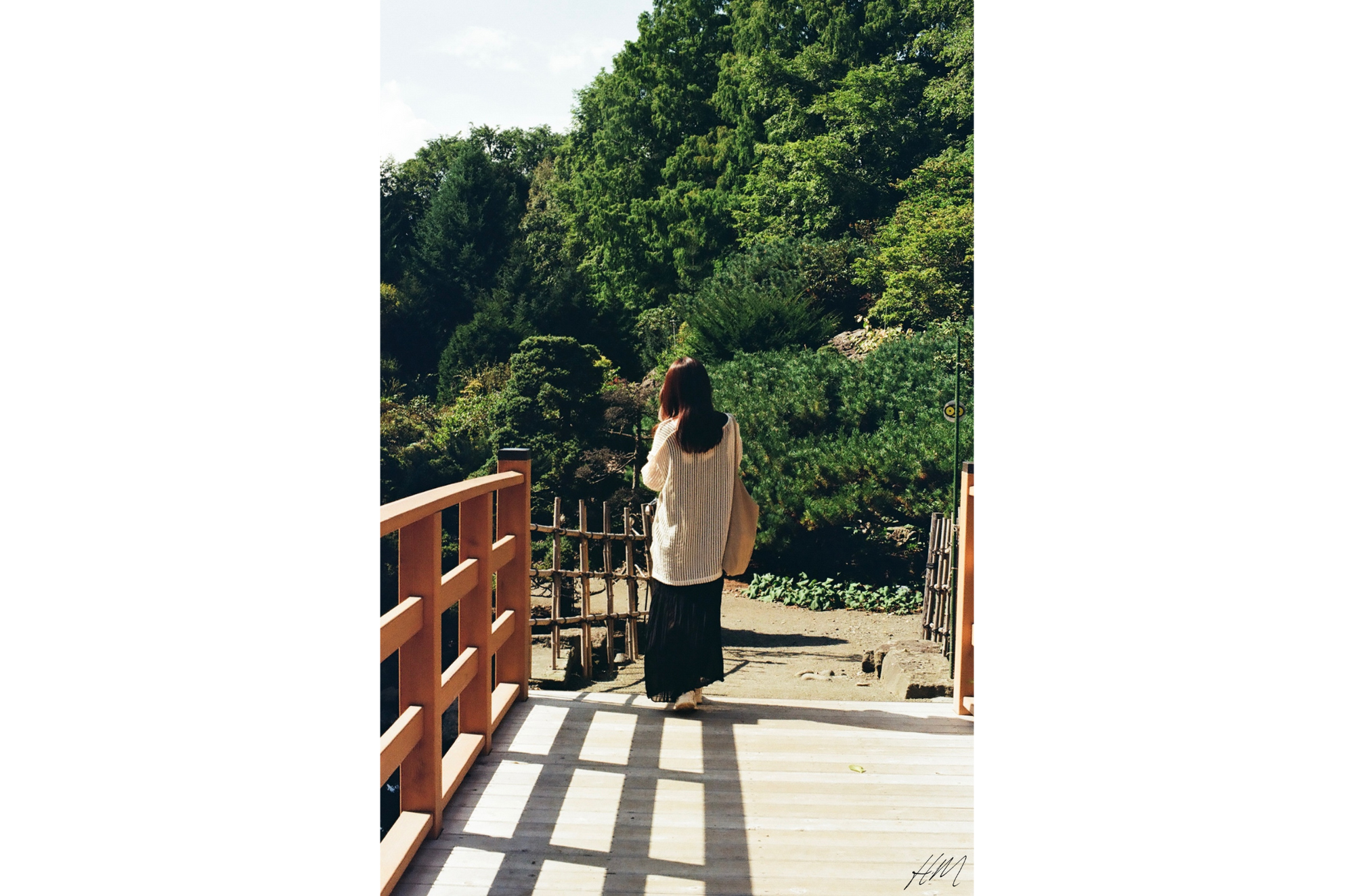 【Kodak】 Color Plus 200 36exp | 東京CAMERA