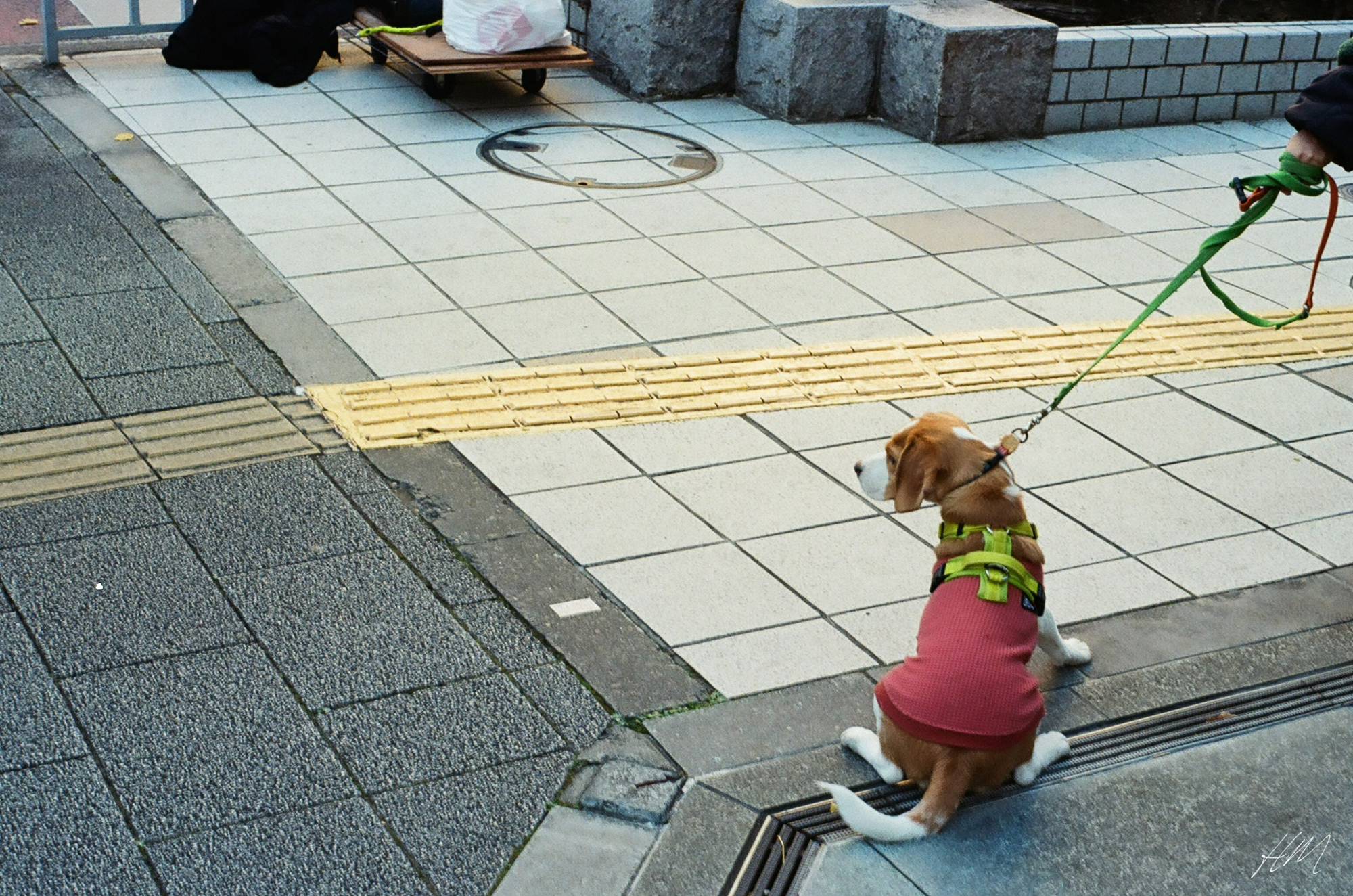 【Kodak】ULTRAMAX 400 36exp | 東京CAMERA