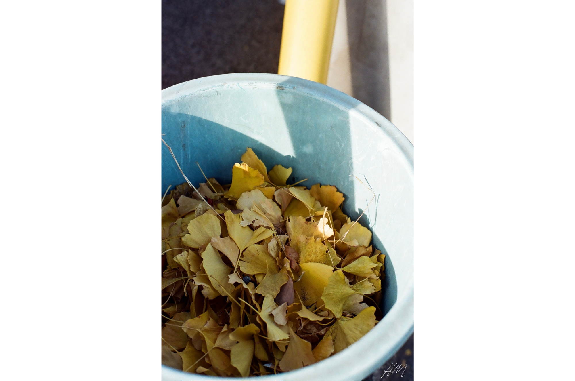 【Kodak】ULTRAMAX 400 36exp | 東京CAMERA