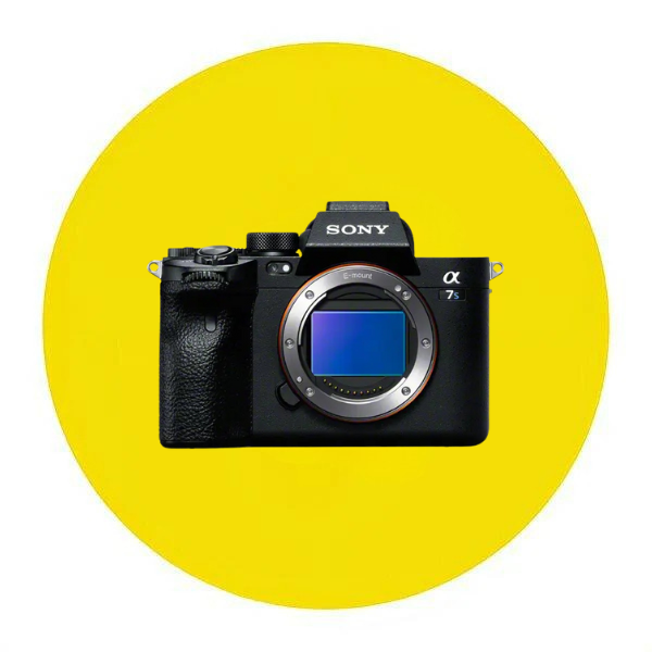 デジタルカメラ ミラーレス