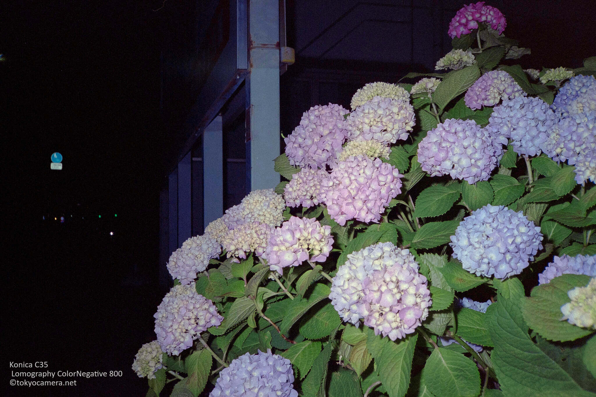 東京CAMERA