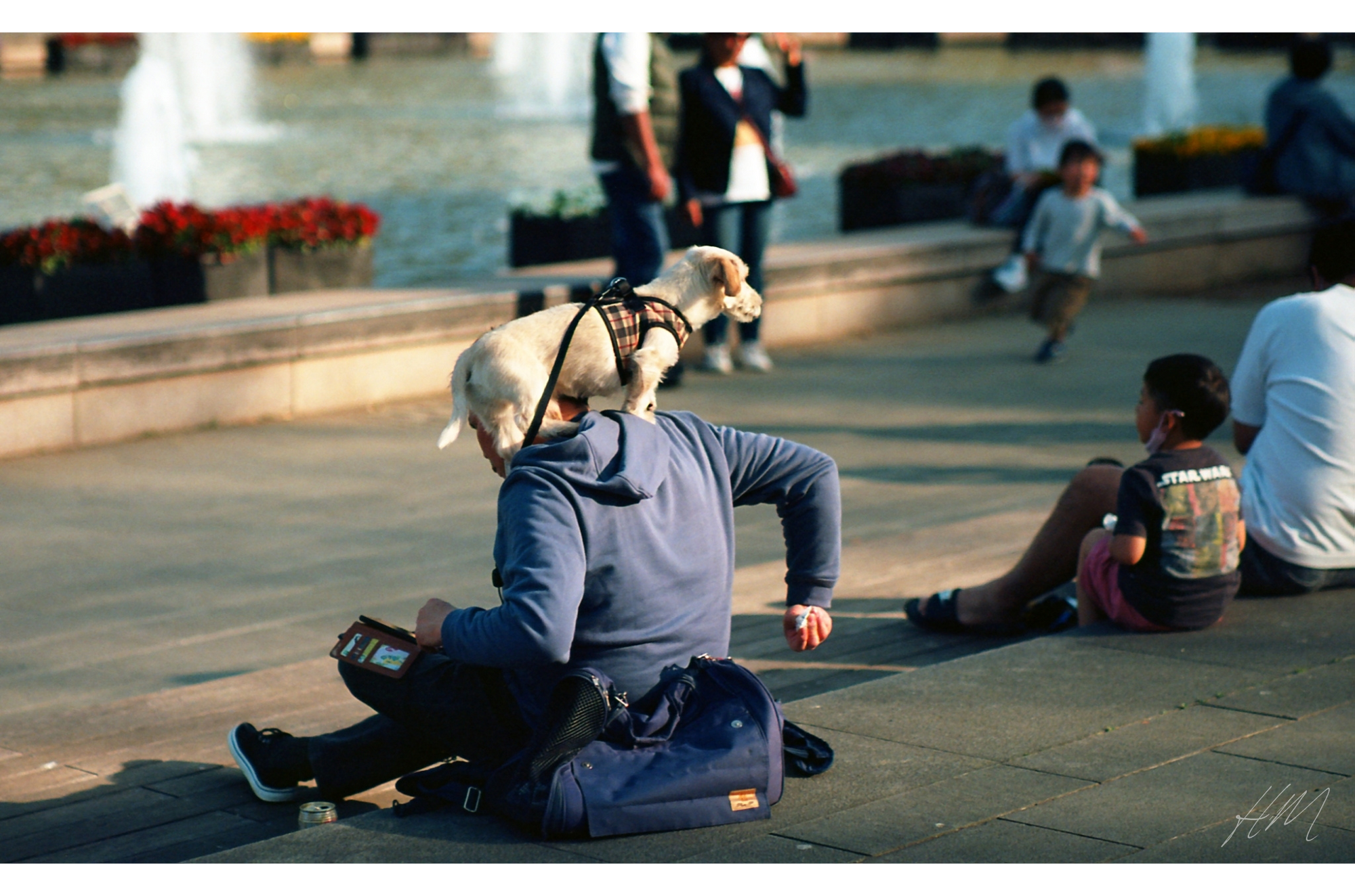 【Kodak】EKTAR 100 36exp | 東京CAMERA