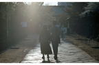 【Kodak】EKTAR 100 36exp | 東京CAMERA