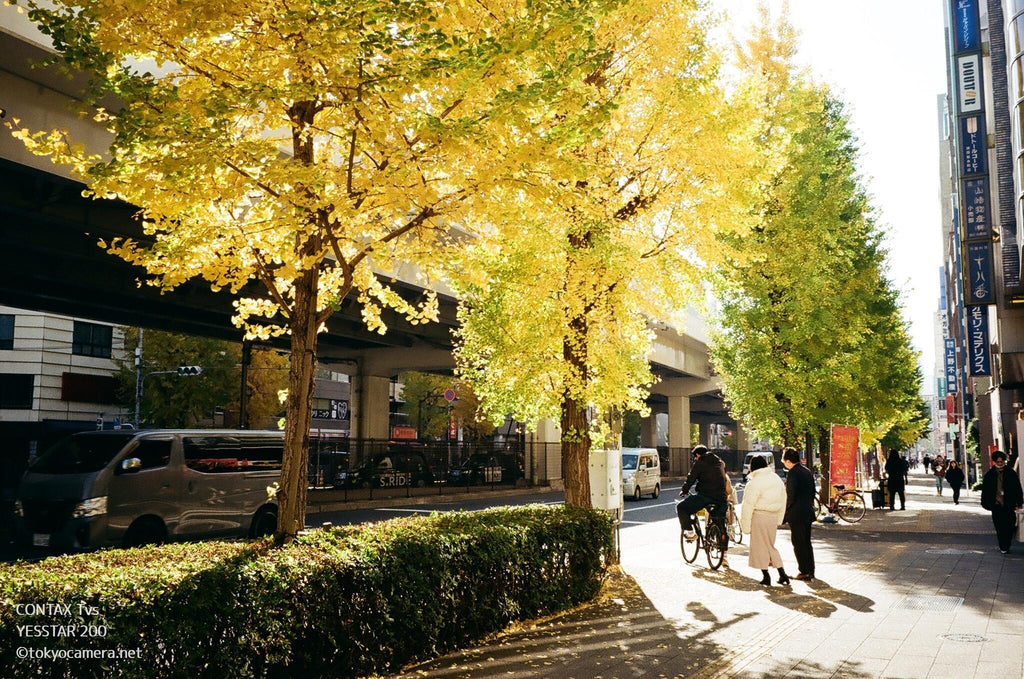 CONTAX TVS (純正フィルター・フード付) 〈試写済〉