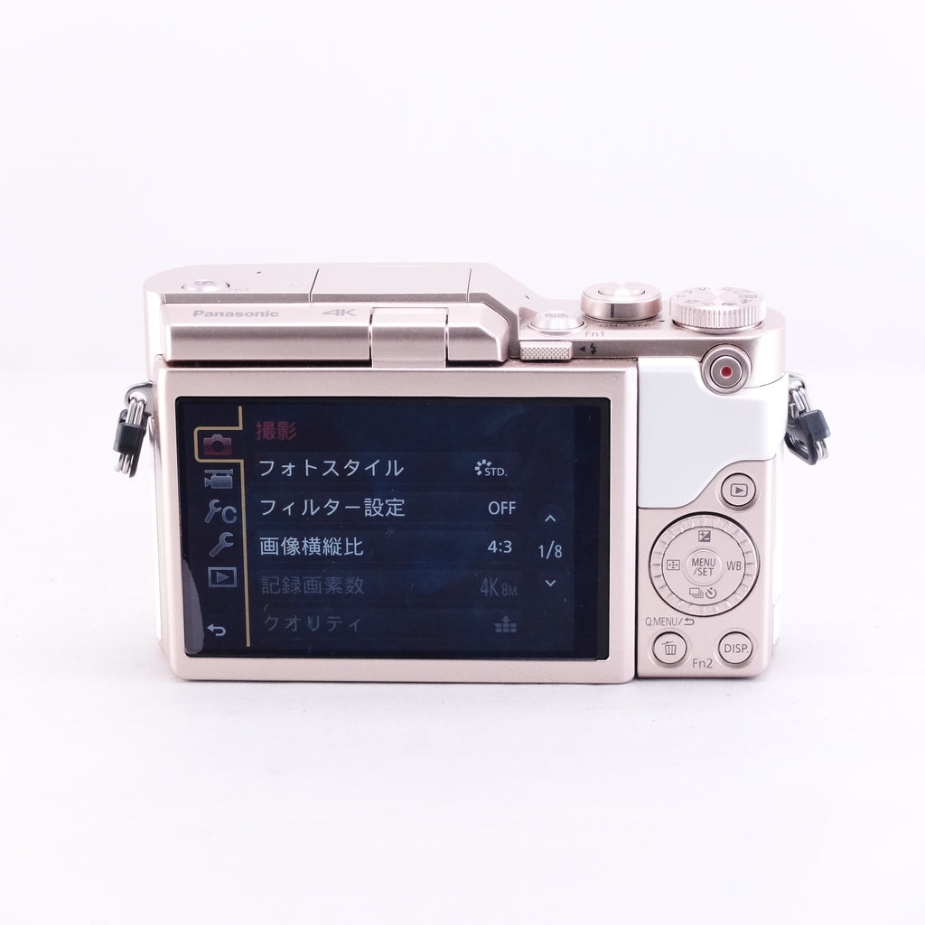 Panasonic LUMIX DC-GF10WA W + 12-32mm + 35-100mm [M4/3]