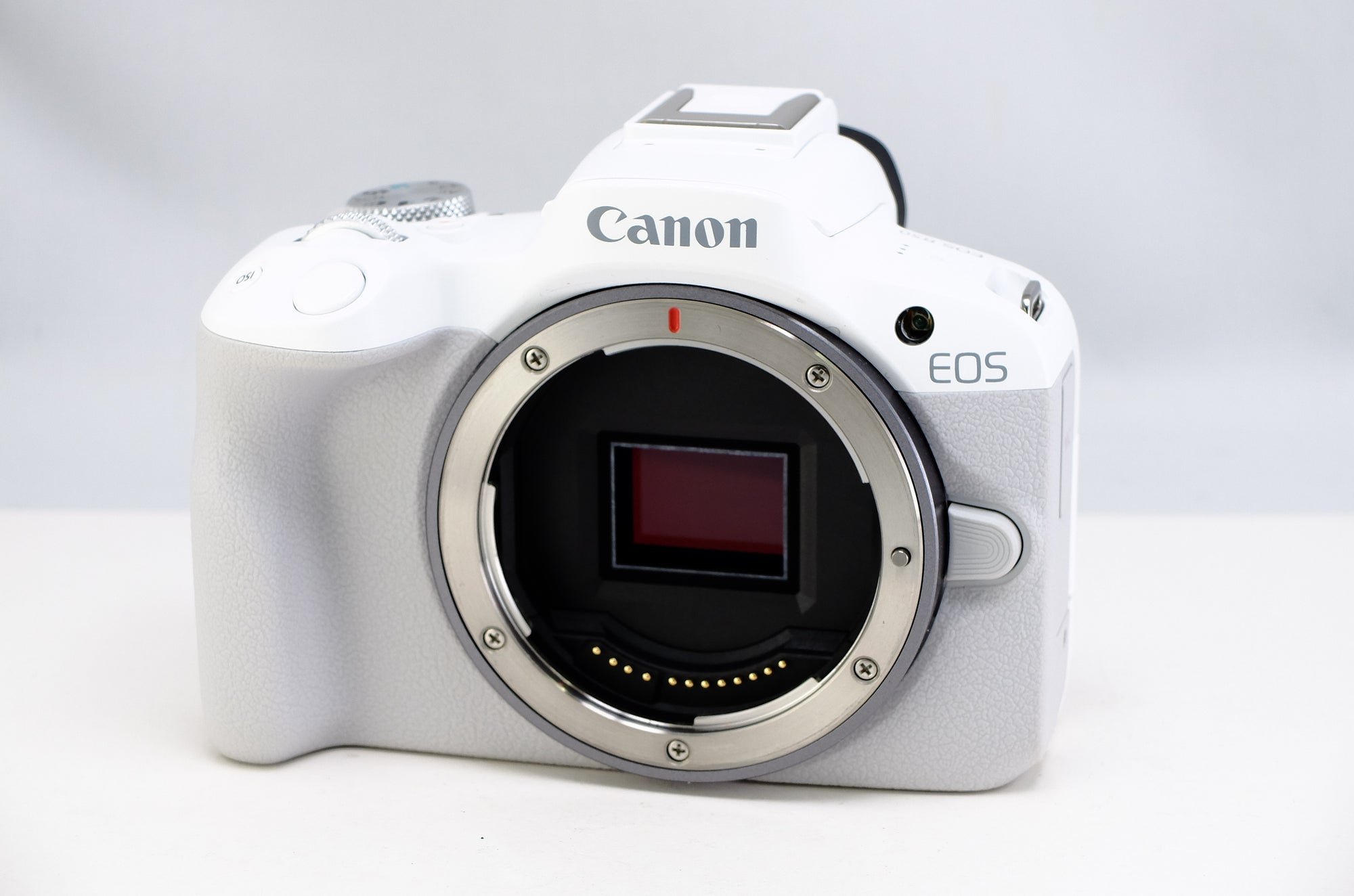【Canon】EOS R50 (ホワイト) | 東京CAMERA