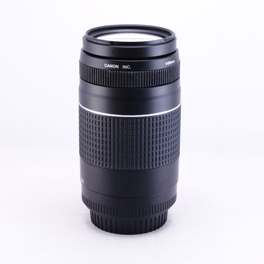 Canon EF 75-300mm F4-5.6 III USM [EF]