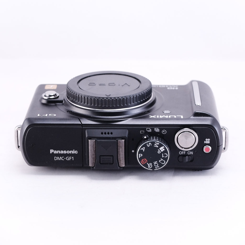 LUMIX DMC-GF1 (Black)