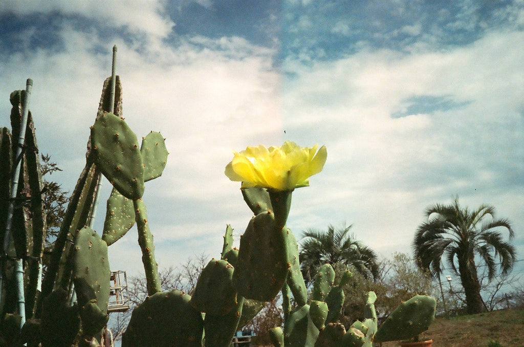 OLYMPUS 35DC (Blue Denim)