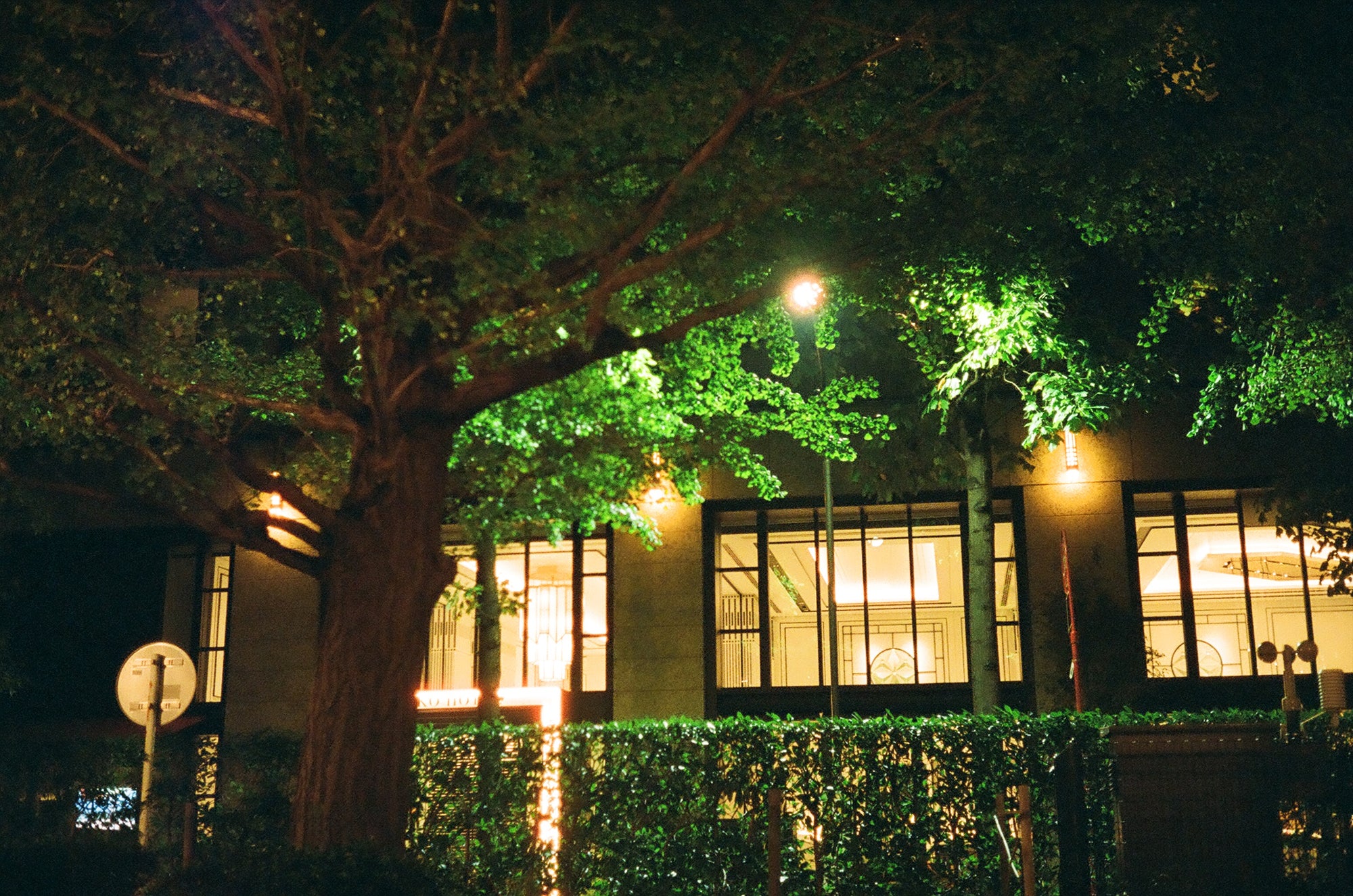 OLYMPUS 35DC (Blue Denim)